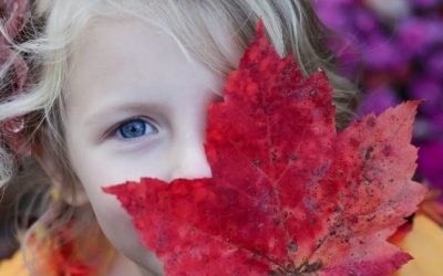 Őszi programajánló – mindfulness a túra, a falevelek és kincses dobozok világában