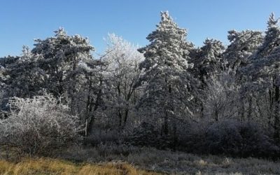 Lelki ellenállóképesség a covid idején, 3 + 3 program, hogy ne őrüljünk meg